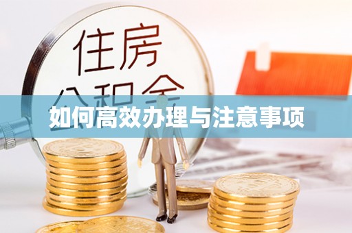 青州如何高效办理与注意事项
