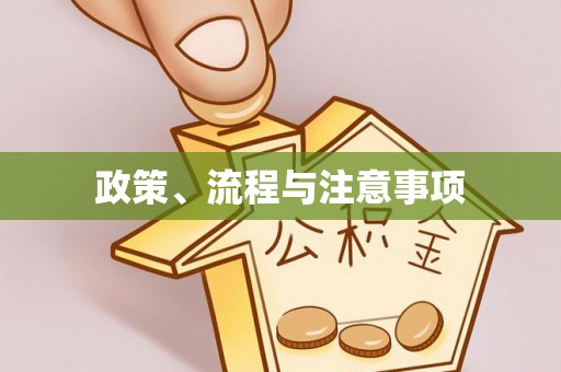 青州政策、流程与注意事项