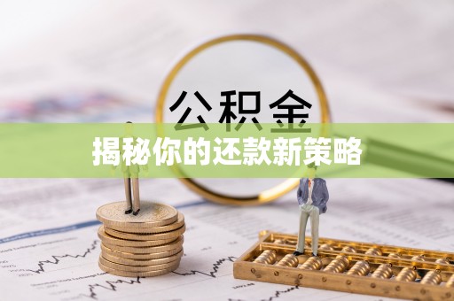 青州揭秘你的还款新策略
