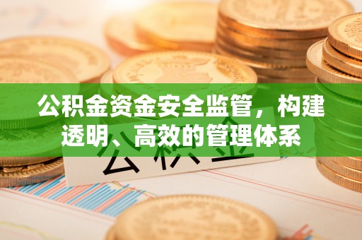青州公积金资金安全监管，构建透明、高效的管理体系