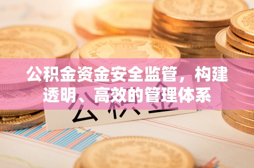 青州公积金资金安全监管，构建透明、高效的管理体系