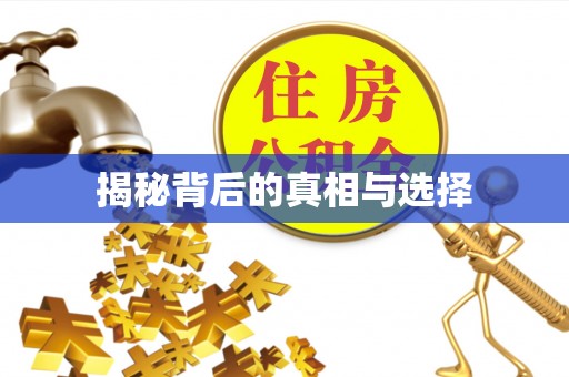 青州揭秘背后的真相与选择