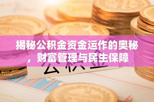 青州揭秘公积金资金运作的奥秘，财富管理与民生保障