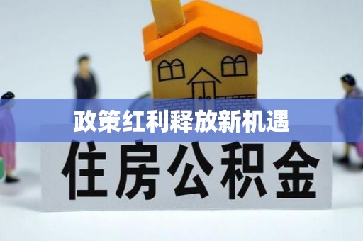 青州政策红利释放新机遇