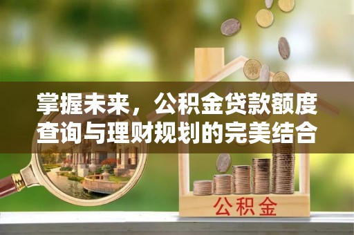 青州掌握未来，公积金贷款额度查询与理财规划的完美结合