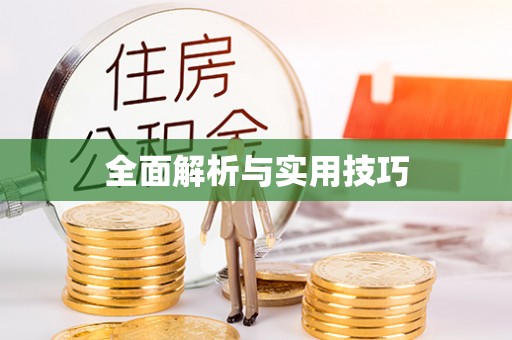 青州全面解析与实用技巧