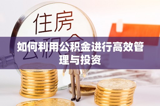青州如何利用公积金进行高效管理与投资