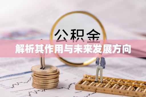 青州解析其作用与未来发展方向
