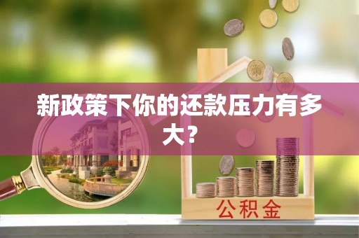 青州新政策下你的还款压力有多大？
