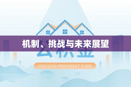 青州机制、挑战与未来展望