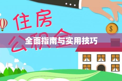 青州全面指南与实用技巧