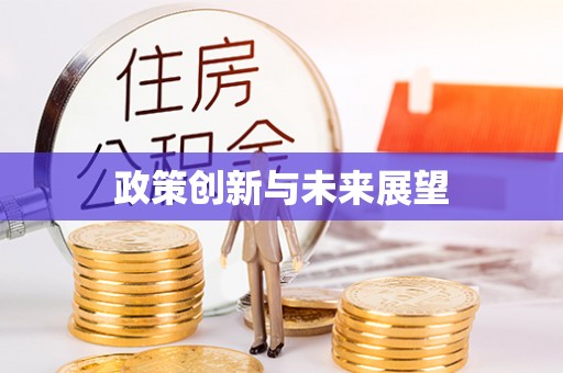 青州政策创新与未来展望