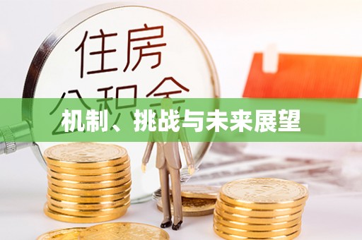 青州机制、挑战与未来展望